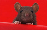 frontpagephoto9