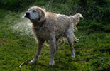 frontpagephoto16